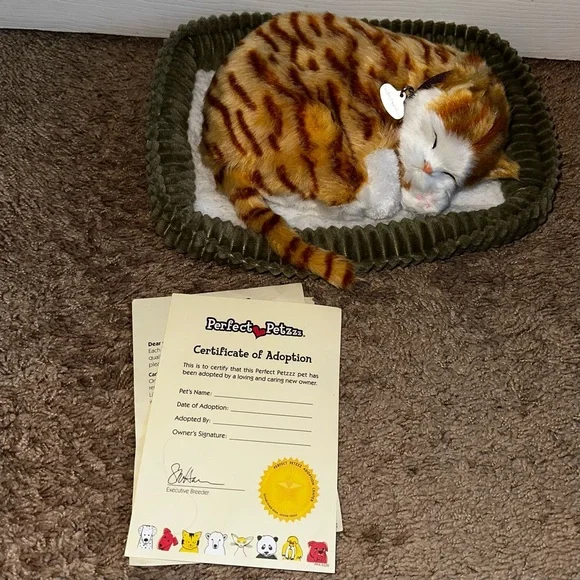 Perfect Petzzz Gray Tabby Cat W/Bed Battery and Adoption Papers - Picture 4 of 11